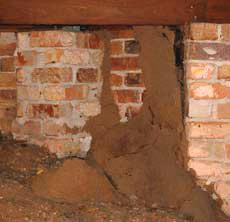 Golden Pacific Termite finds all termite mud shelter tunnels and kills the termites.